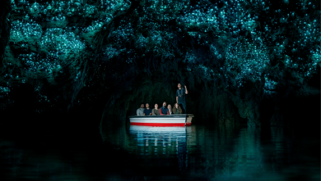 Hobbiton movie set + Waitomo glowworm caves tour from Auckland, New Zealand [Mercedes-Benz bus + lunch]