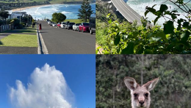 雪梨南線精華一日遊：Kiama+傑林崗+童話袋鼠谷