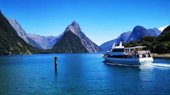 Milford Sound / Piopiotahi 1-day tour with premium small cruise + Te Anau round-trip