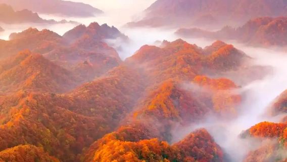 Lawatan sehari tarikan pelancongan Gunung Guangwu dan Gunung Micang [lawatan sewa peribadi perjalanan bebas]
