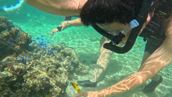 Snorkeling experience at Onna natural beach for adults and kids (includes family-friendly snorkeling for babies)