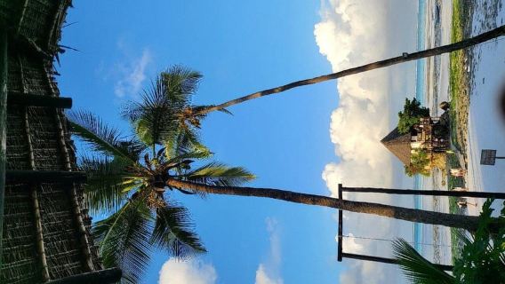 Zanzibar: Starfish, blue Lagoon & The Rock restaurant
