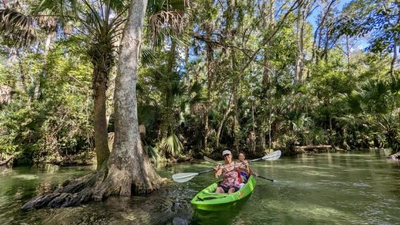 Florida: Rock Springs Run Clear Bottom Kayak Adventure