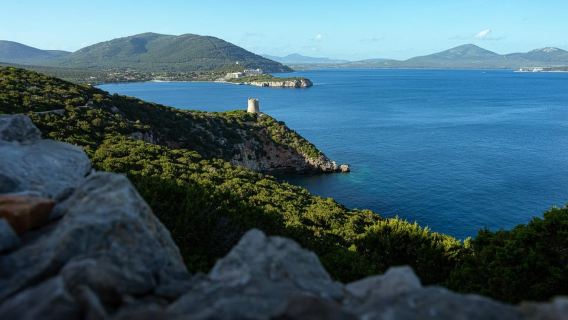 Alghero: Porto Conte Natural Park Trek with Aperitif