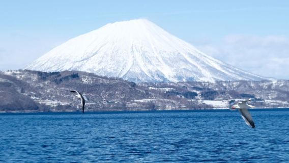 日本北海道+登別熊牧場+洞爺湖一日遊/行程可調-可定制