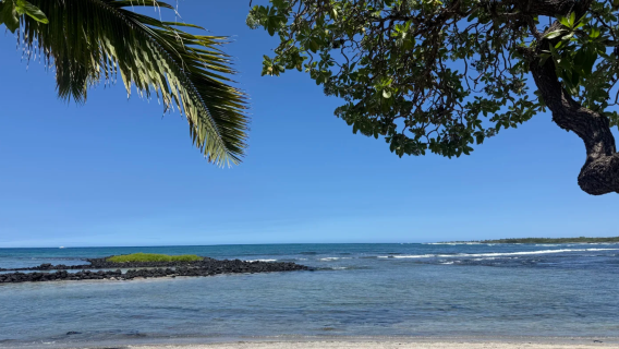 Amerika Syarikat Pulau Besar Hawaii - Kailua-Kona - Kapten Cook - sewaan peribadi Bahasa Cina - Pilihan