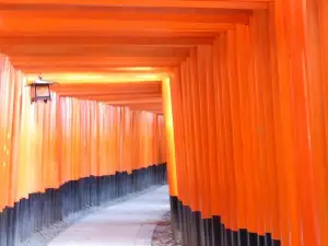 【Fushimi inari shrine】A local born in Kyoto shares the secret path away tourists