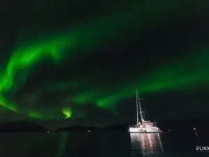Northern Lights Sailing