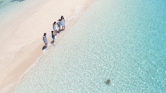 Airlie BeachTours
