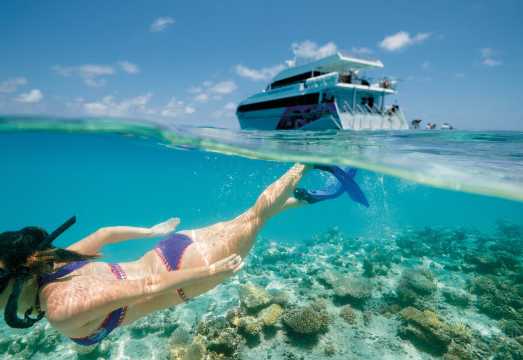 Limited-Time Offer: Great Barrier Reef Day Tour to Hardy Reef from Hamilton Island/Airlie Beach/Helicopter AUD 316.67