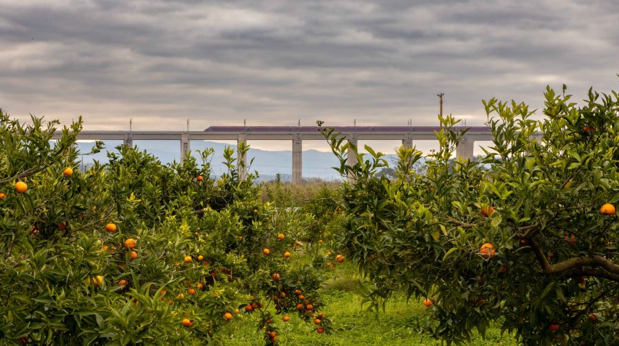 Eurail 歐鐵意大利火車通行證【官方代理/無出票費/暢遊意大利/無乘車次數限制】