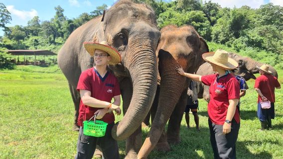 Mae TaengTours