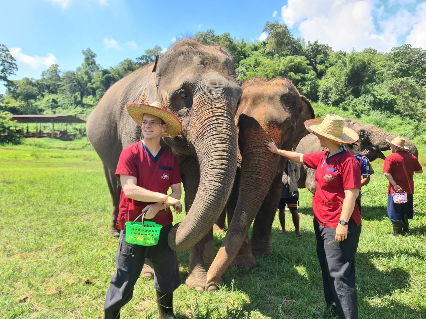 태국 치앙마이 란통 코끼리 보호 센터 당일 치기 여행 [픽업+영어 가이드]