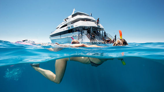 CairnsTours