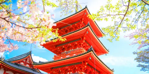京都清水寺、伏見稻荷大社、奈良公園一日遊,賞櫻花餵小鹿