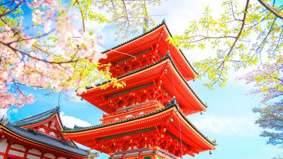 Kyoto & Nara Classic Day Tour with Friendly Deer