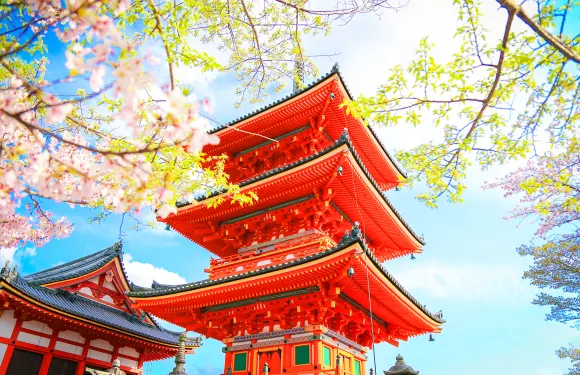 日本京都祇園+奈良一日遊，賞櫻花餵小鹿，可選9人小團酒店接送