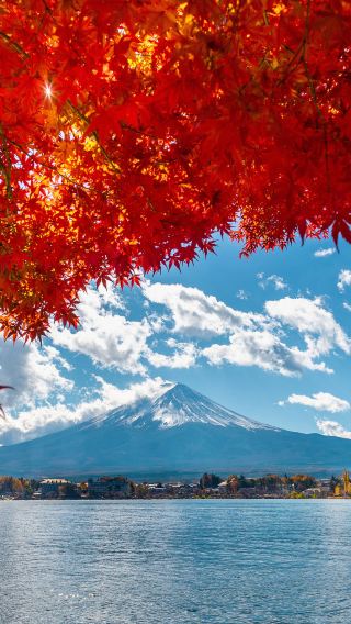 Limited-time deal - Mount Fuji 1-day tour to Lake Kawaguchi, Oshino Hakkai and Gotemba Premium Outlets
