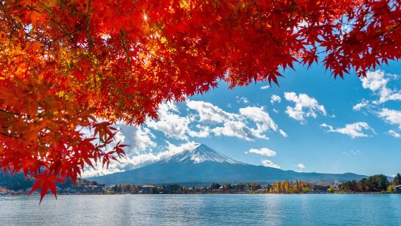 Limited-time deal - Mount Fuji 1-day tour to Lake Kawaguchi, Oshino Hakkai and Gotemba Premium Outlets