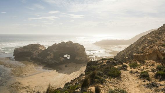 Around the Bay: Sightseeing & Cruise Day Tour in Melbourne