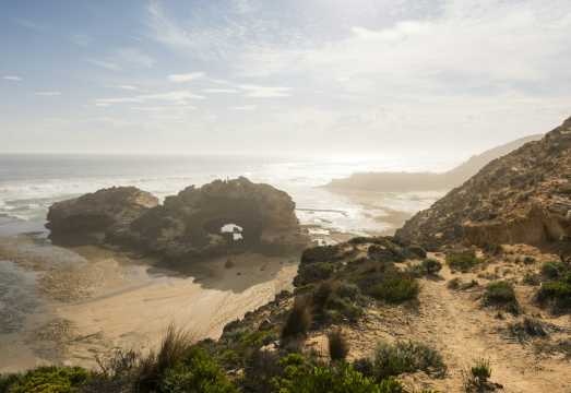 Around the Bay: Sightseeing & Cruise Day Tour in Melbourne AUD 188.84