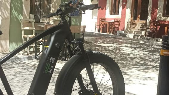 Heraklion: Rundfahrt mit dem E-Bike durch die Landschaft rund um den Palast von Knossos + Weinprobe