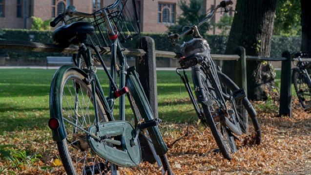 Tour a piedi dell'Università di Cambridge