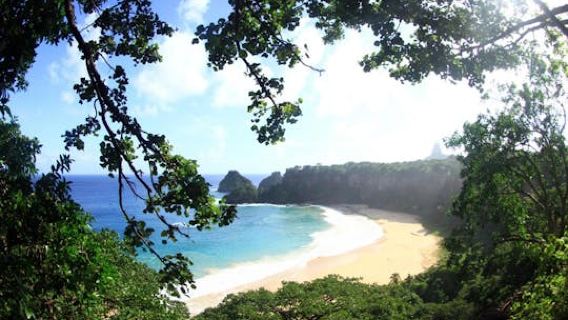 Fernando de Noronha
