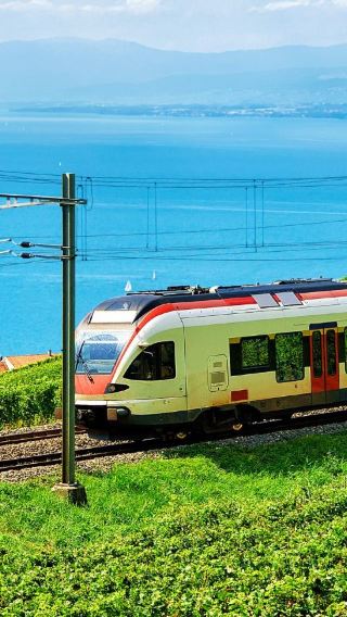 Custom trip in Lausanne | The Olympic Museum + Lavaux Vineyard Terraces + Vevey + Chillon Castle※