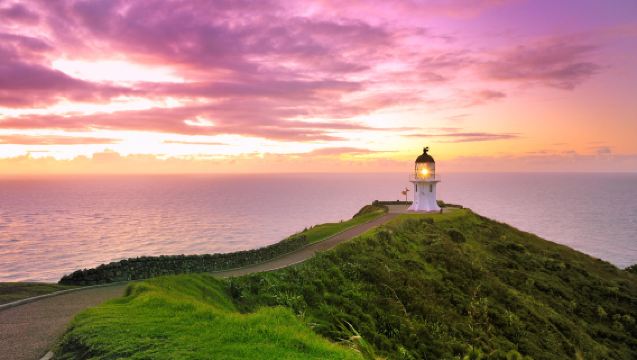 Lawatan Sehari di Auckland, New Zealand: Satu Pesanan Satu Kumpulan | Sewaan Peribadi Berbahasa Cina | Penyesuaian Itinerari | Pulau Selatan & Pulau Utara