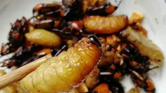 Private Beijing Street Food Tasting Tour in Hutong