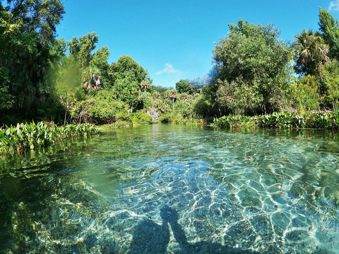 美國奧蘭多Kelly Park專車接送【暑期優惠】