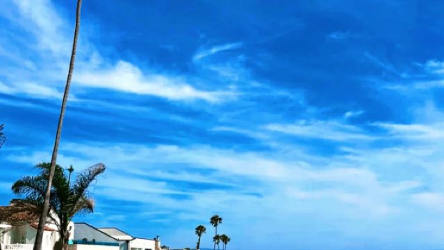 美國聖地牙哥來回/洛杉磯經典景點一日遊~包車【精選老司機】