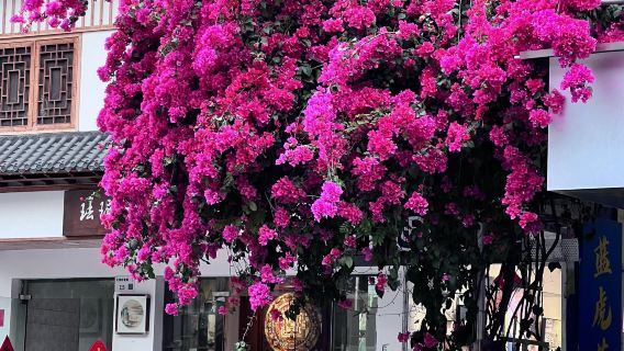 tour 1 ngày nhà Bình An Thâm Quyến + Công viên Liên Hoa Sơn + Phố cổ Gankeng + Làng tranh sơn dầu Dafen - Có dịch vụ tiếng Anh