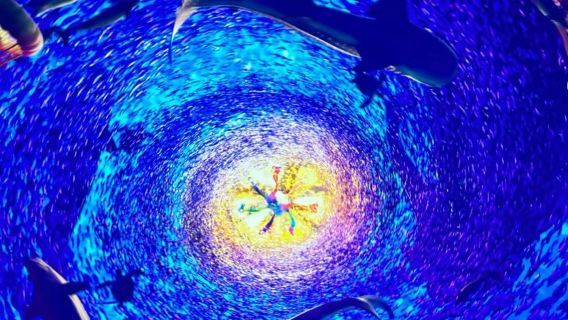 Laoshan Scenic Spot Yangkou + Taiqing 1-day tour / 7-seater vehicle