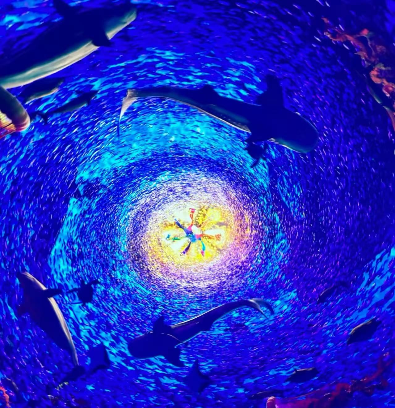 Laoshan Scenic Spot Yangkou + Taiqing 1-day tour / 7-seater vehicle