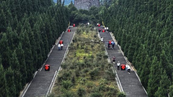 YichangTours