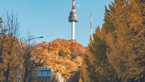 梨花女子大學+益善洞+南山公園+首爾塔一日遊【包車遊】