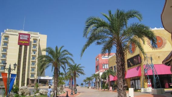沖縄美ら海水族館～波の上ビーチ～ぐり島【沖縄限定少人数制】