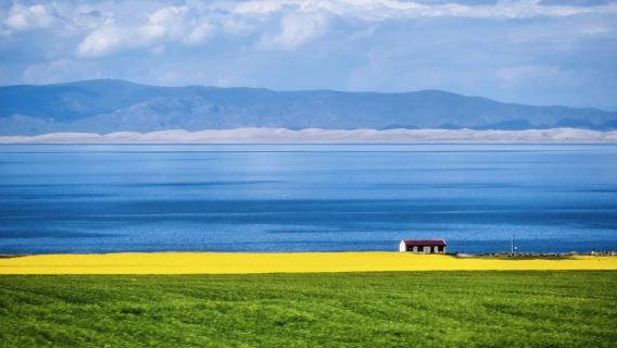 Tasik Qinghai + Padang Rumput Jinyintan (Lawatan Persendirian dengan Pemandu)