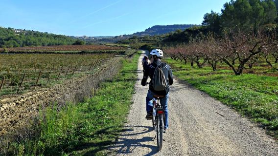 Barcelona: tour guiado de medio día en bicicleta eléctrica y vino