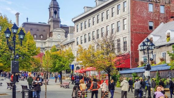 Montreal: Tour xe buýt hai tầng Hop-On Hop-Off