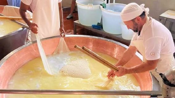 Parma: Lawatan Keju, Ham & Cuka Balsamic dengan Rasa