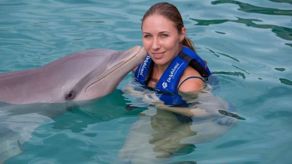 Puerto Morelos: Swim with Dolphins