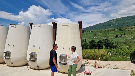 Valdobbiadene: Tour guidato in E-Bike sulle colline del Prosecco