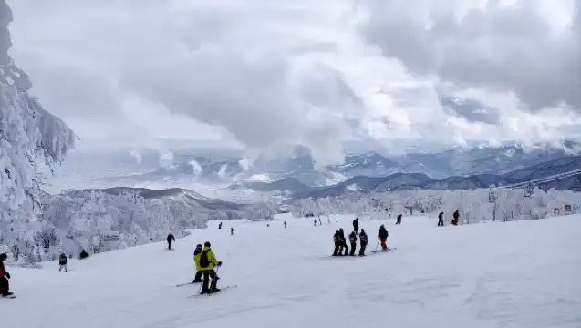 北海道滑雪私人教練團|手稻滑雪場·札幌國際滑雪場·ONZE滑雪場