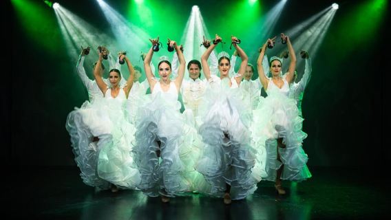 테네리페: Fran Chafino의 올레 플라멩코 쇼 티켓