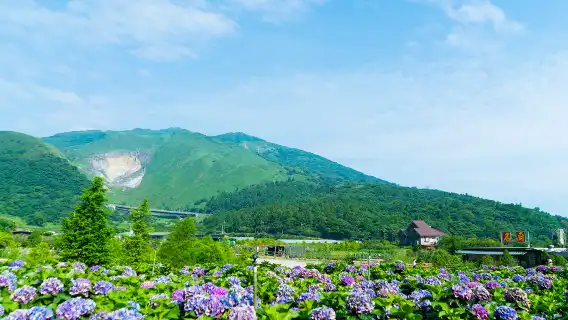 8-hour private charter 1-day tour to Taipei 101 and Yangmingshan: Custom itinerary | Departing from Taipei