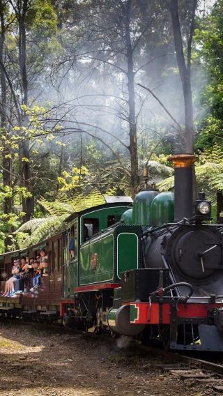 Australia Puffing Billy Railway + Healesville Sanctuary 1-day tour [round-trip from city]