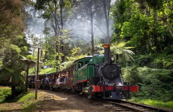 澳洲普芬比利蒸汽火車+希爾斯維爾動物園一日遊【市區接送】